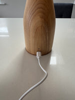 Bottle Beech Style Rechargeable Touch Lamp with Shade