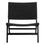 Carson Lounge Chair in Black