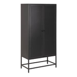 Newcastle 2 Door Cabinet in Matt Black